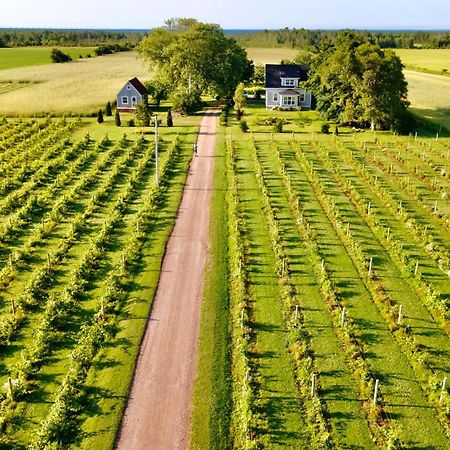 Bed and Breakfast Sunbury Cove Winery Miscouche Екстер'єр фото